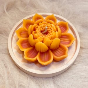 OPEN LOTUS 2 OPEN LOTUS